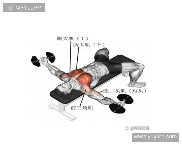 全面提升肩部力量的12个哑铃训练动作详解